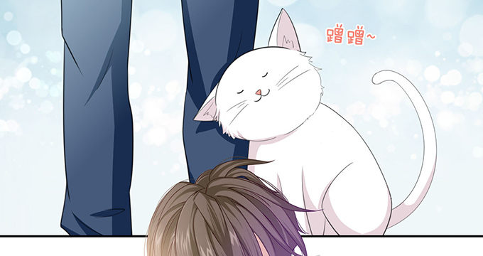《爱的三分线》猫儿的名字 第23页
