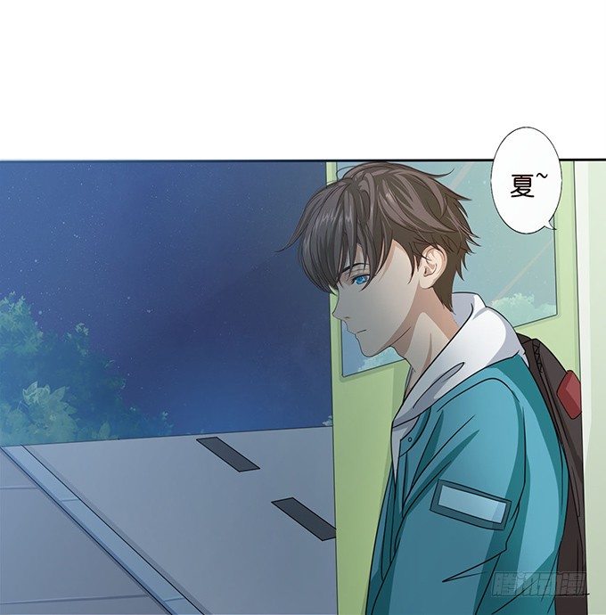 《爱的三分线》猫儿的名字 第5页