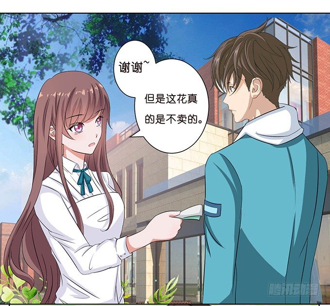 《爱的三分线》送你的玫瑰 第23页