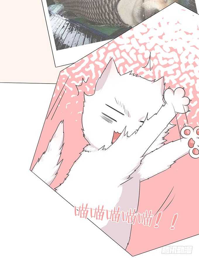 《爱的三分线》电影的约会 第19页