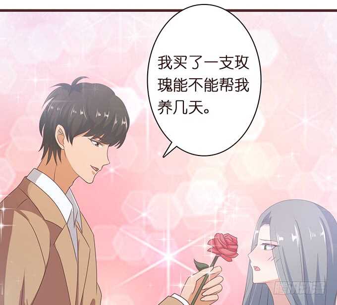 《爱的三分线》永恒的爱恋 第27页
