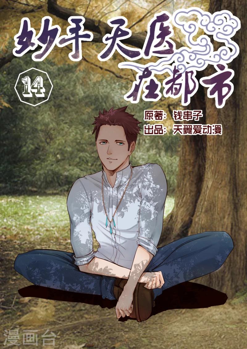 《妙手天医在都市》第14话 弹尽粮绝的意思 第1页