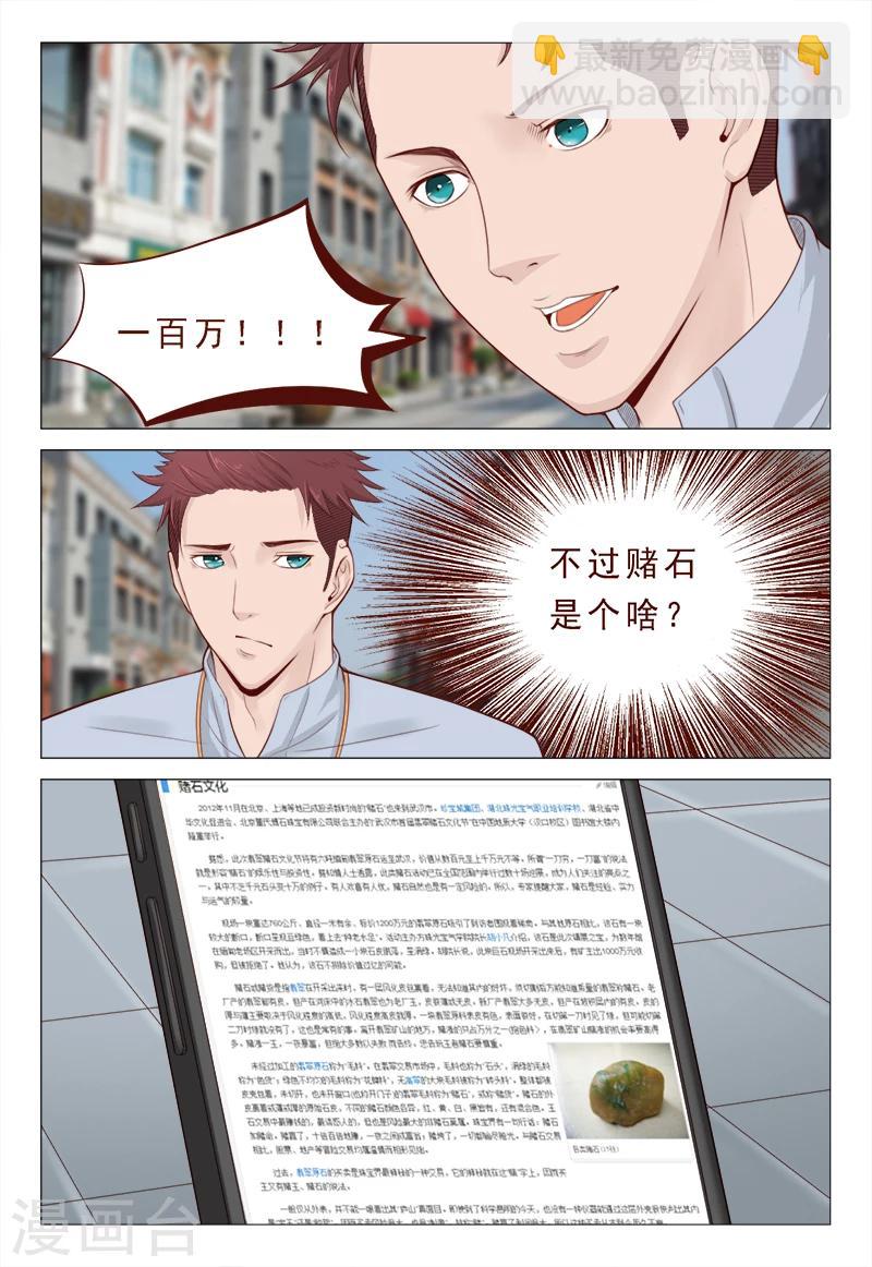 《妙手天医在都市》第20话 赌石 第7页