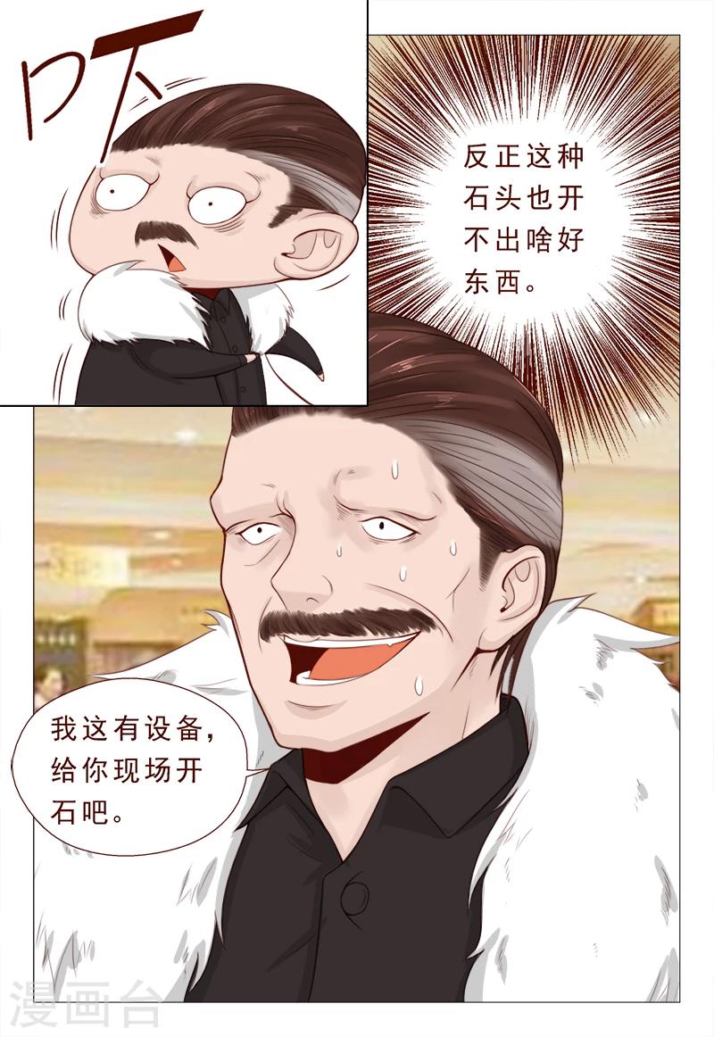 《妙手天医在都市》第21话 精心准备的假玉石 第10页