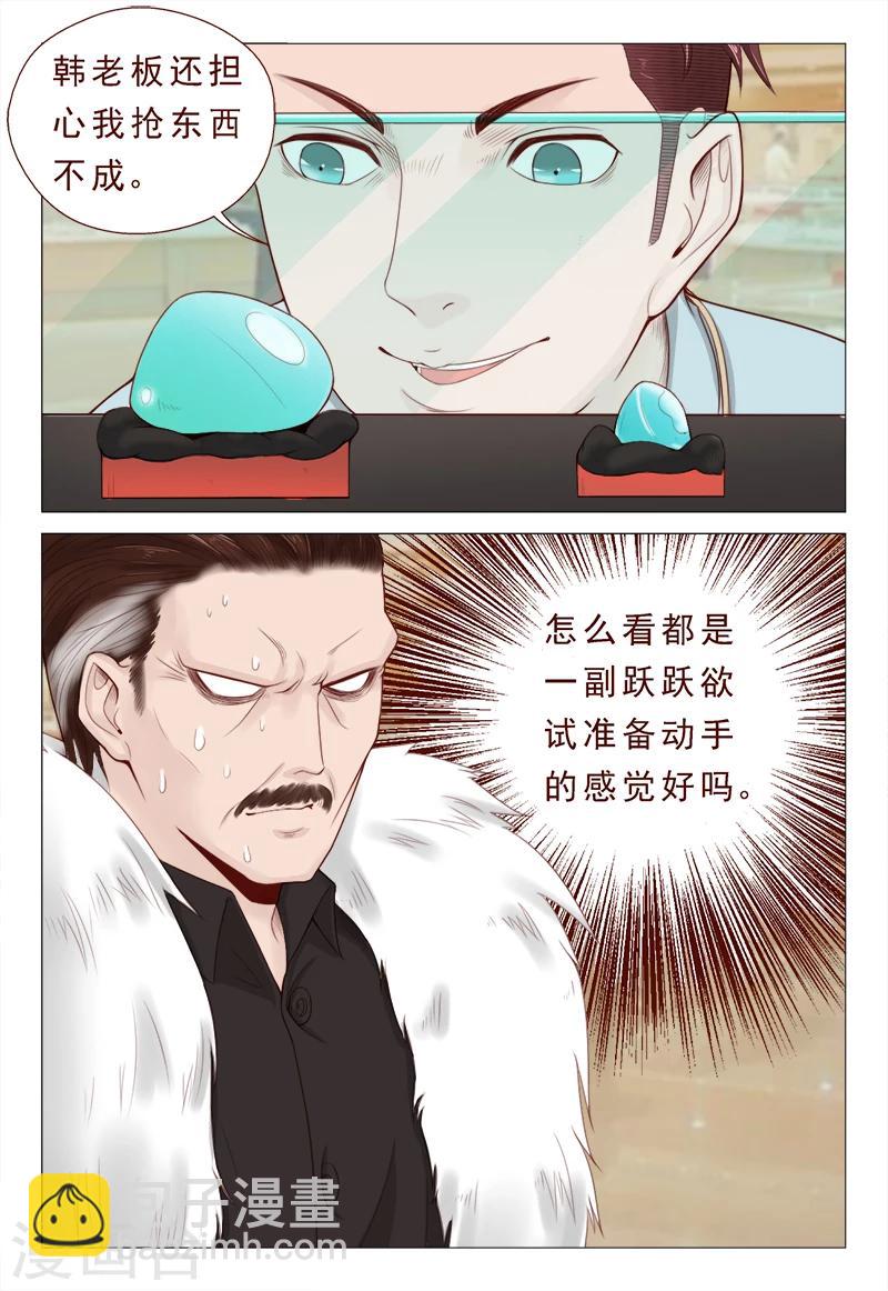 《妙手天医在都市》第21话 精心准备的假玉石 第2页
