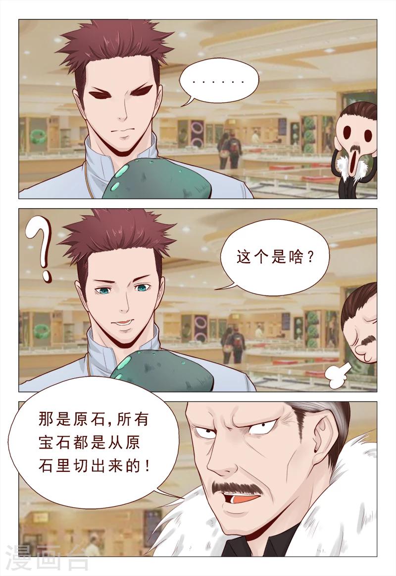 《妙手天医在都市》第21话 精心准备的假玉石 第4页