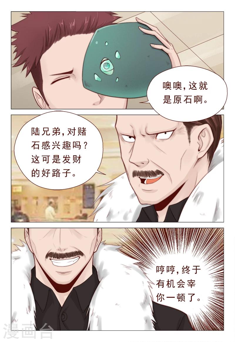 《妙手天医在都市》第21话 精心准备的假玉石 第5页