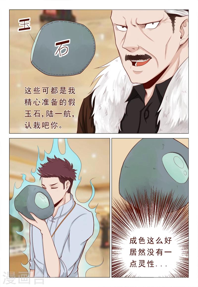 《妙手天医在都市》第21话 精心准备的假玉石 第7页
