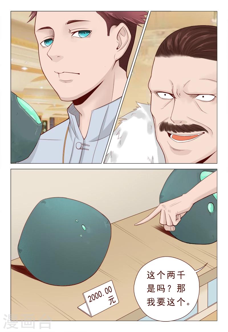 《妙手天医在都市》第21话 精心准备的假玉石 第8页
