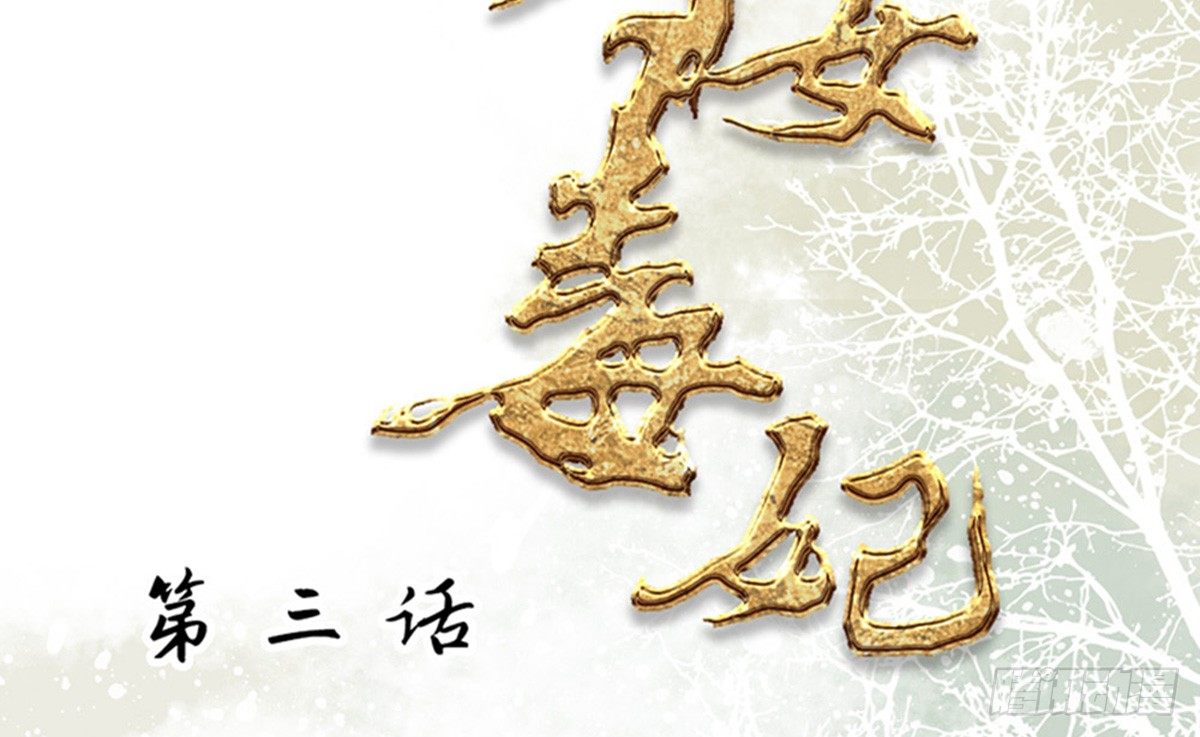 《娇女毒妃》第三话 第2页