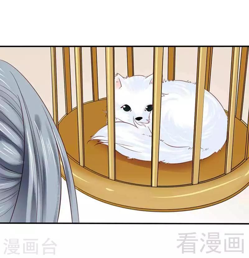 《娇女毒妃》第106话 第4页