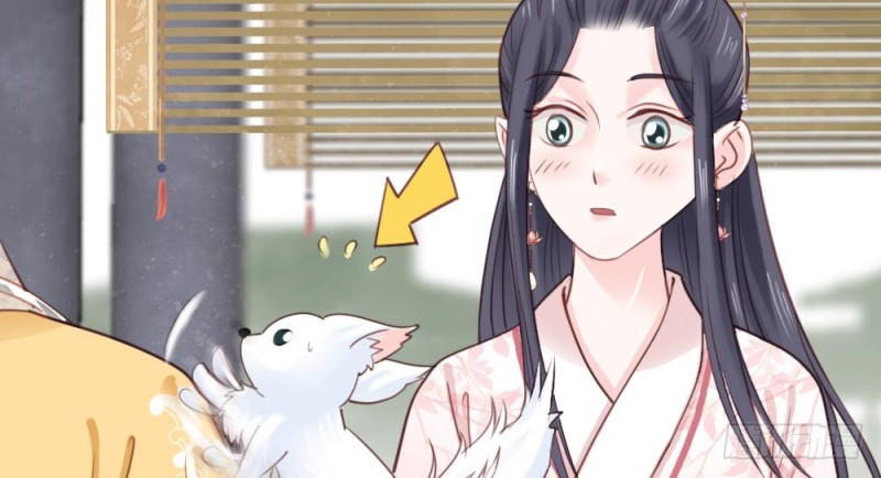 《娇女毒妃》第二百五十八话 第11页