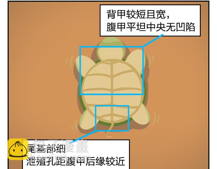 《消消乐萌萌团》第31话 寻找小柴 第50页