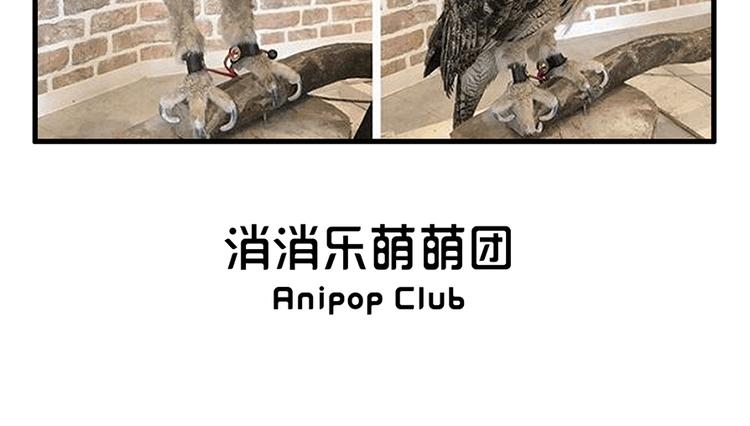 《消消乐萌萌团》消消乐萌萌团番外08—10 第6页