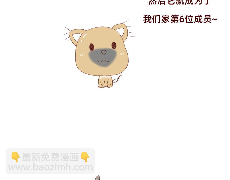 《加零的漫画日记》双11我家来了条单身狗 第11页