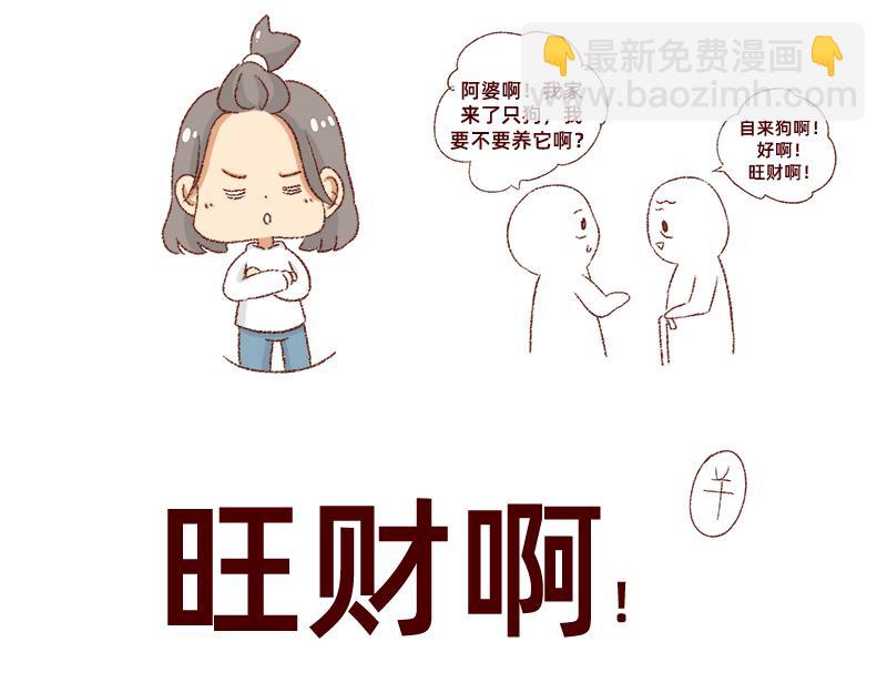 《加零的漫画日记》双11我家来了条单身狗 第13页