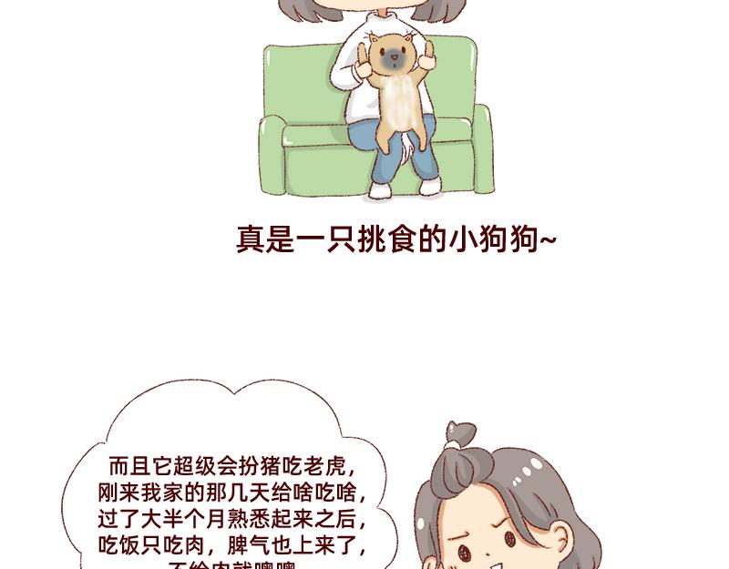 《加零的漫画日记》双11我家来了条单身狗 第18页
