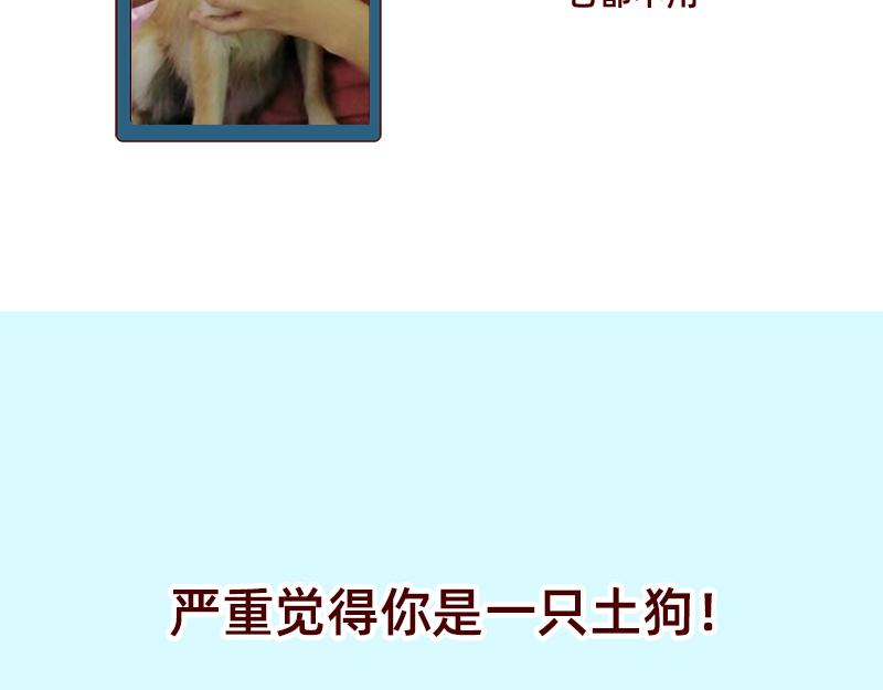 《加零的漫画日记》双11我家来了条单身狗 第20页