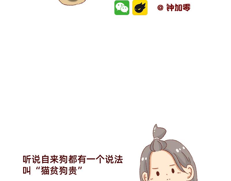 《加零的漫画日记》双11我家来了条单身狗 第2页