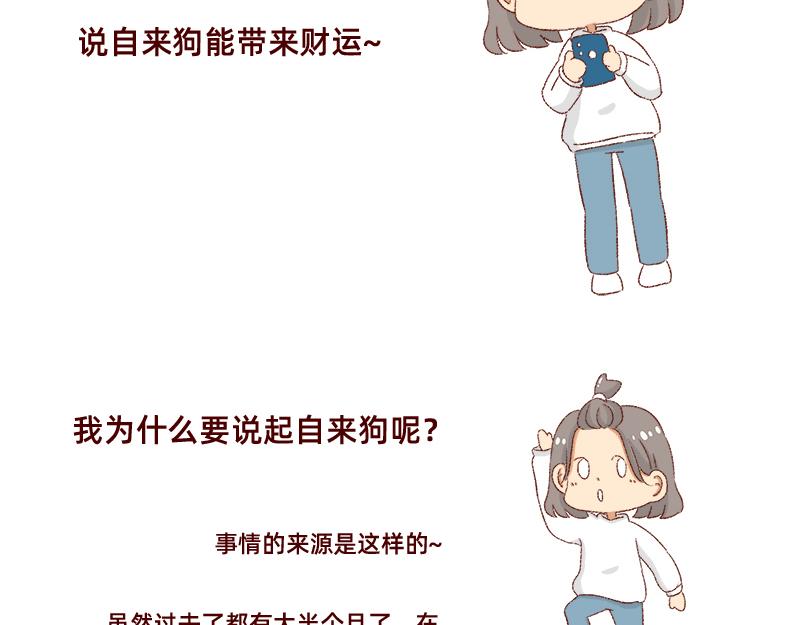《加零的漫画日记》双11我家来了条单身狗 第3页