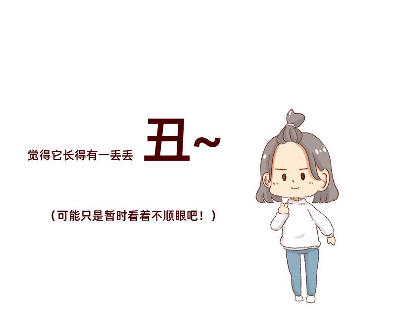《加零的漫画日记》双11我家来了条单身狗 第8页
