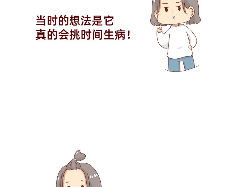《加零的漫画日记》养宠物就要负责到底！ 第11页