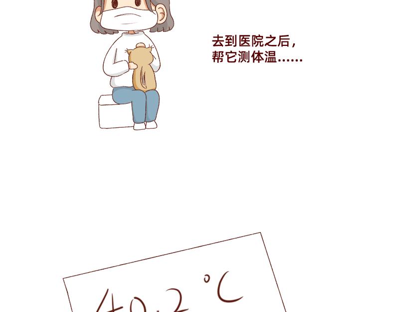 《加零的漫画日记》养宠物就要负责到底！ 第12页