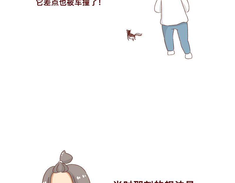《加零的漫画日记》养宠物就要负责到底！ 第21页