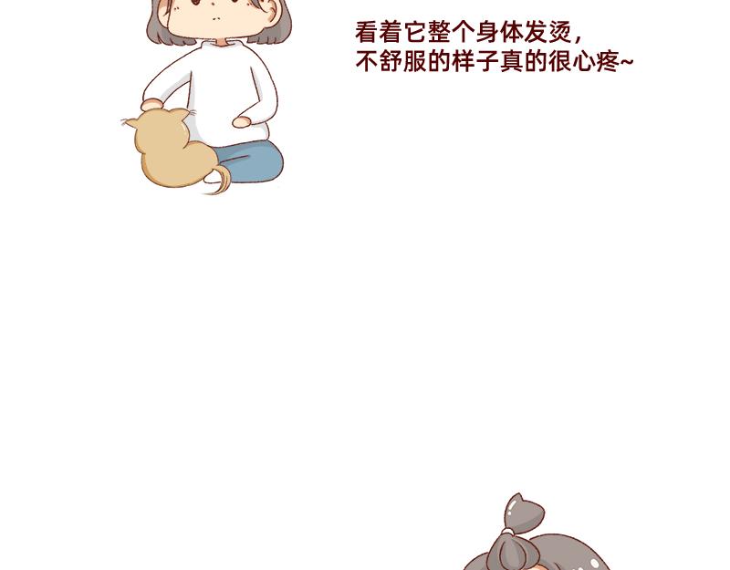 《加零的漫画日记》养宠物就要负责到底！ 第6页
