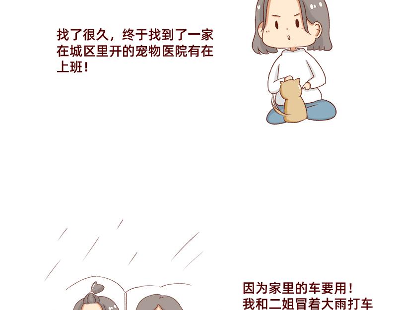 《加零的漫画日记》养宠物就要负责到底！ 第9页