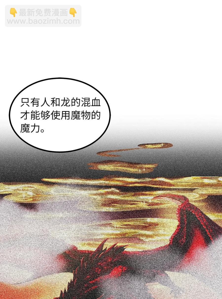 《无限魔力初级剑士》63 你要我放弃复仇？ 第6页