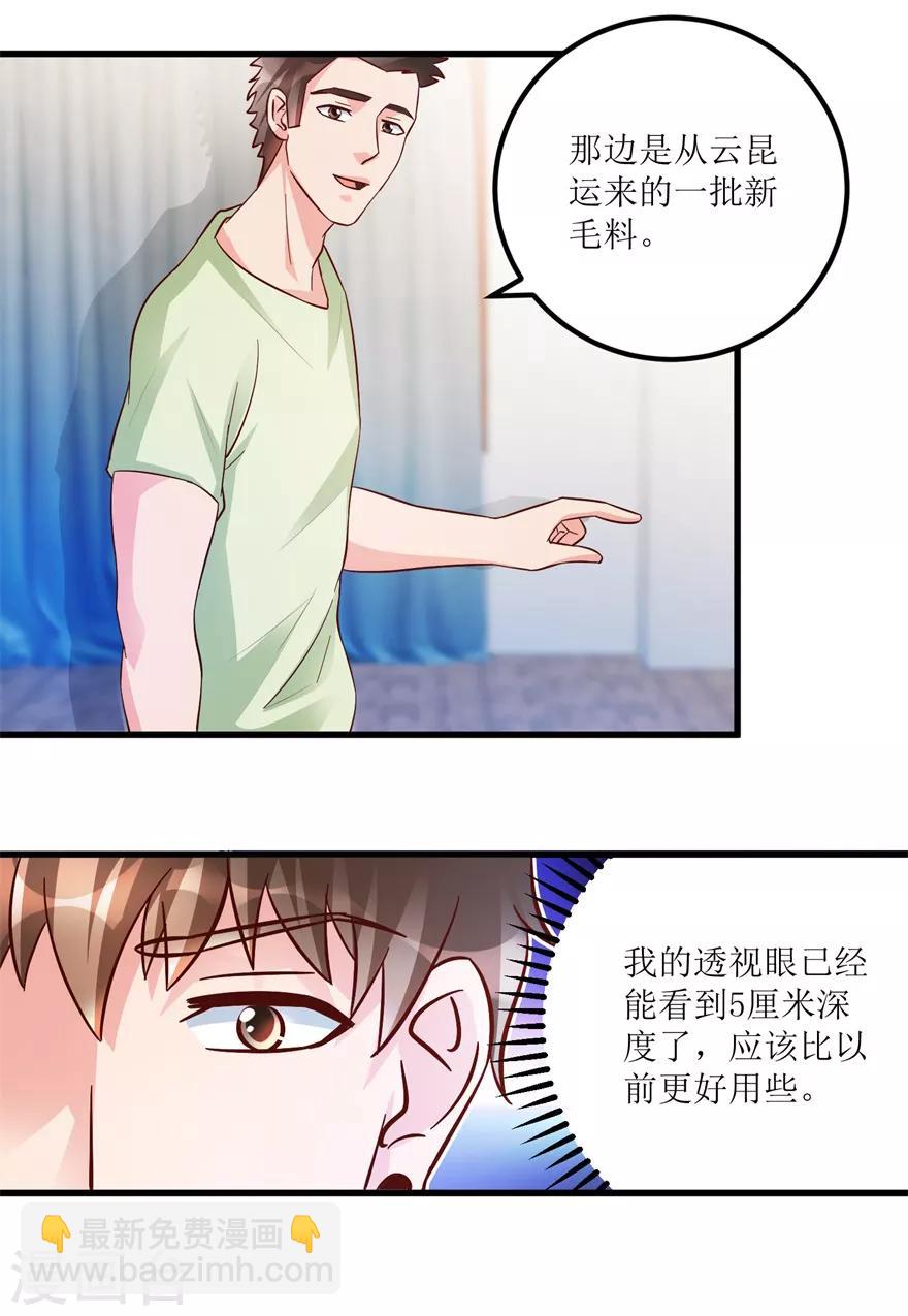 《透视仙医》第86话 新开的缅甸赌石坊 第5页