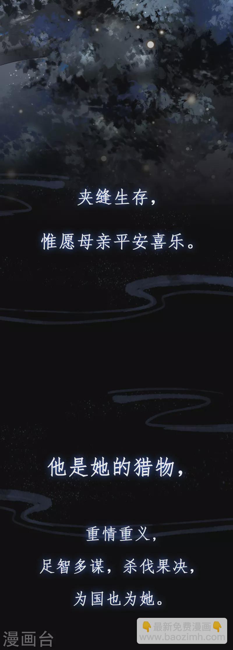 《凤凰于飞》预告 第5页