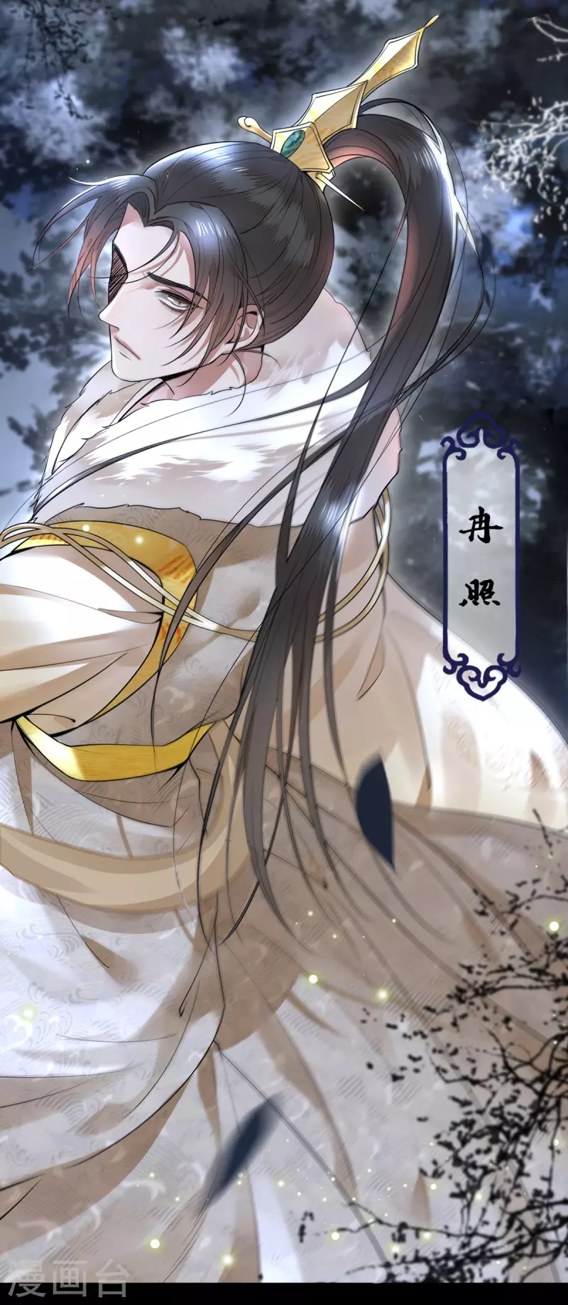 《凤凰于飞》预告 第7页