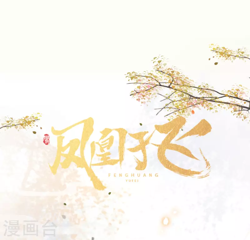 《凤凰于飞》人物档案大公开 第1页