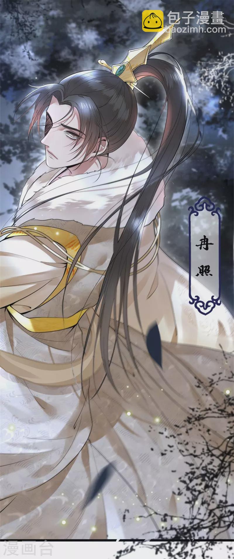 《凤凰于飞》第3话 二皇子救驾 第11页