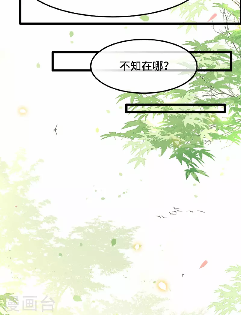《凤凰于飞》第36话 敢动我的人？ 第17页