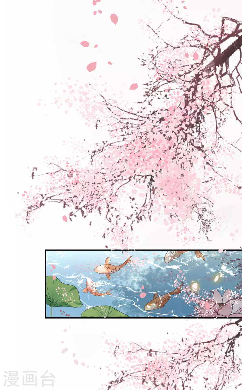 《凤凰于飞》第104话 你怎能害他！ 第13页