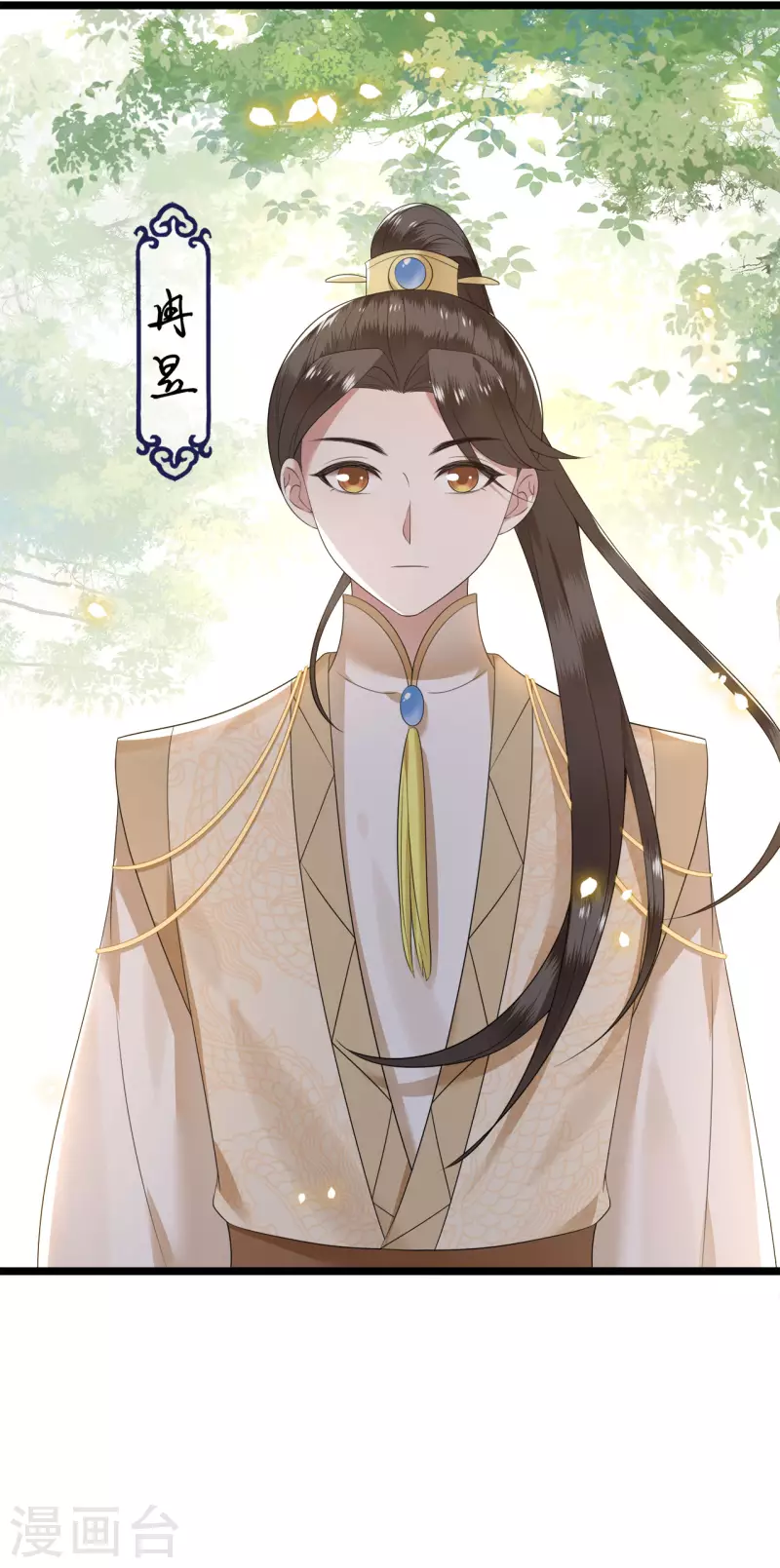 《凤凰于飞》第110话 四皇子突然拜访 第29页