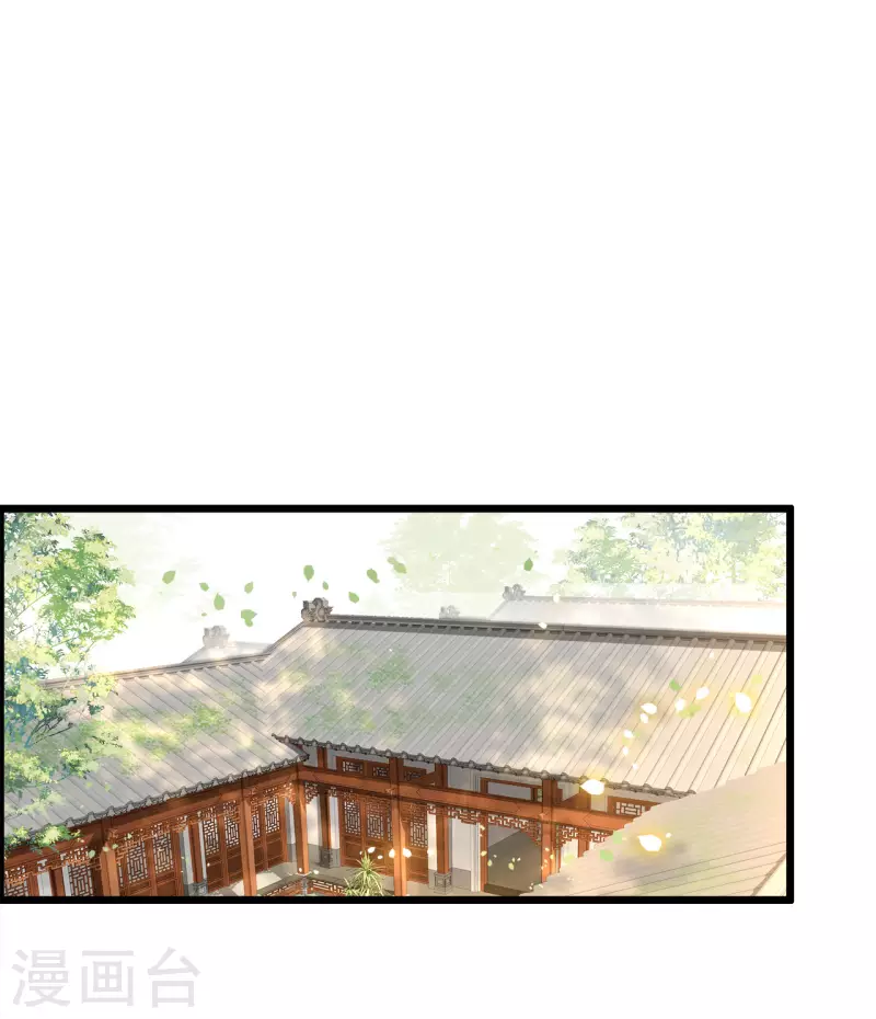 《凤凰于飞》第110话 四皇子突然拜访 第3页