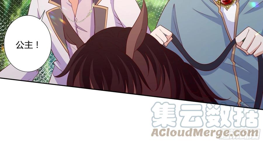 《传说中的恶役公主》57话 北境王子？ 第15页