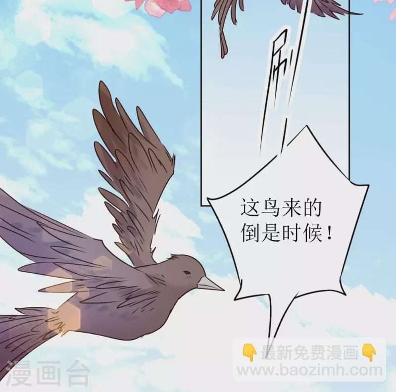 《我家侯爷不宠我》第12话 他是大变态！ 第11页