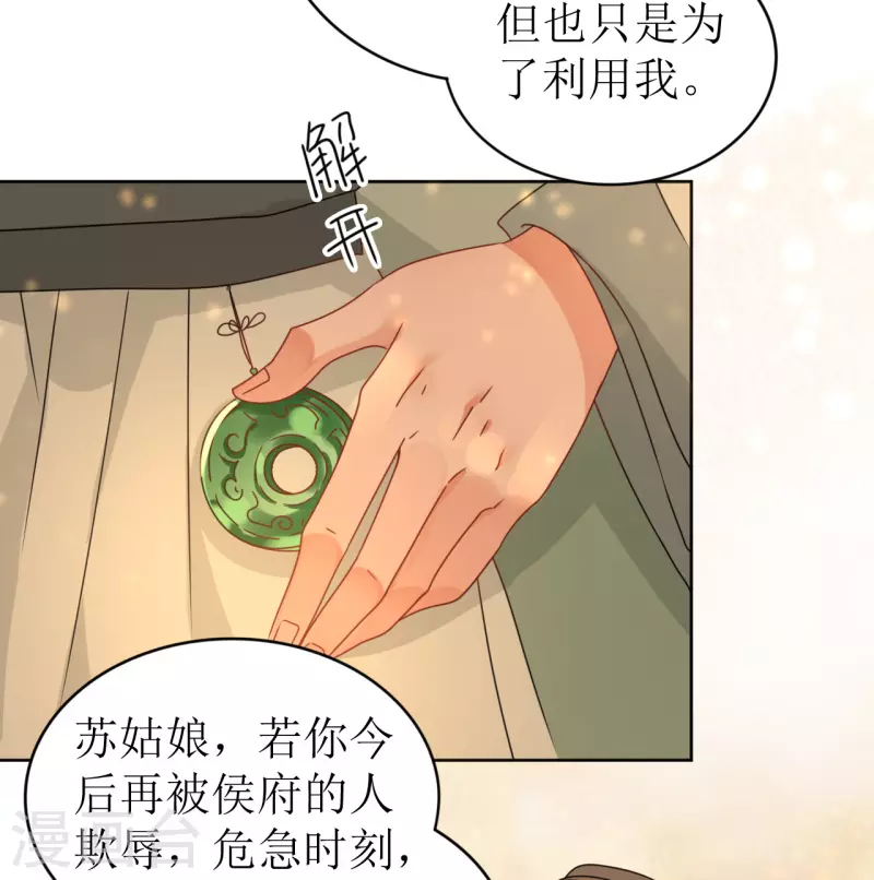 《我家侯爷不宠我》第23话 花灯节之夜 第28页