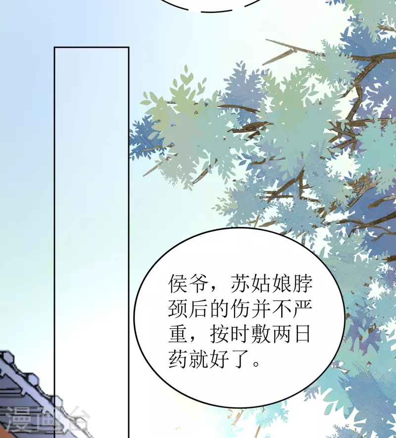 《我家侯爷不宠我》第27话 被偷走的玉佩 第29页