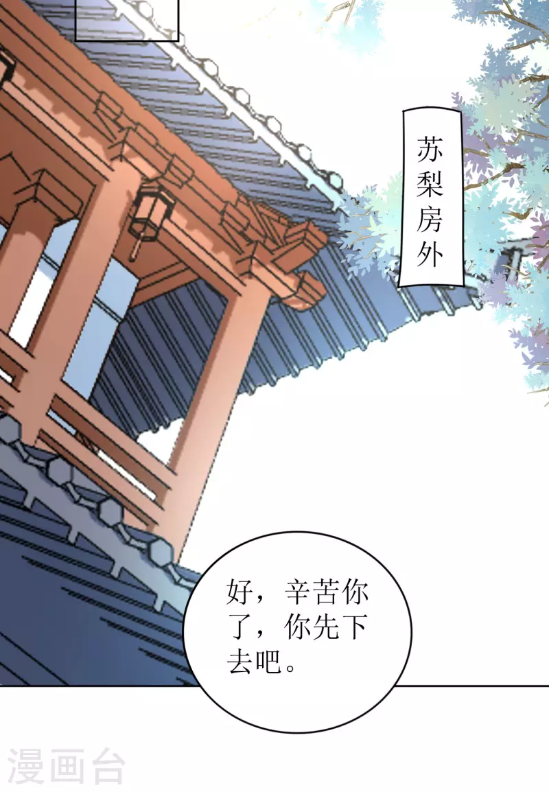 《我家侯爷不宠我》第27话 被偷走的玉佩 第30页