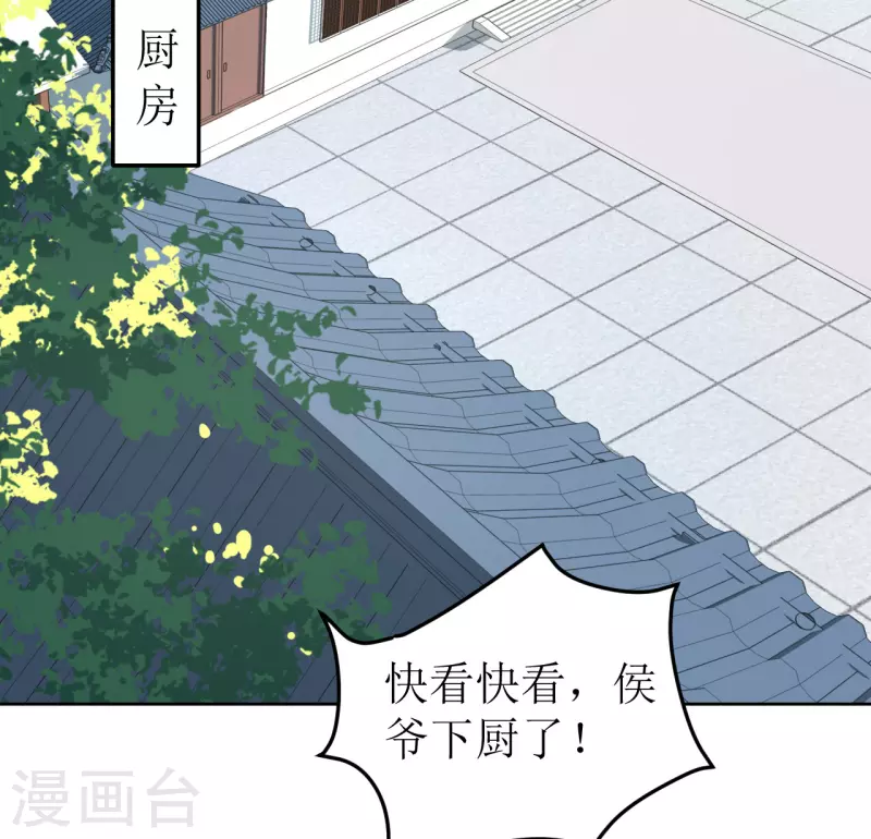 《我家侯爷不宠我》第101话 意绵绵静日玉生香 第2页