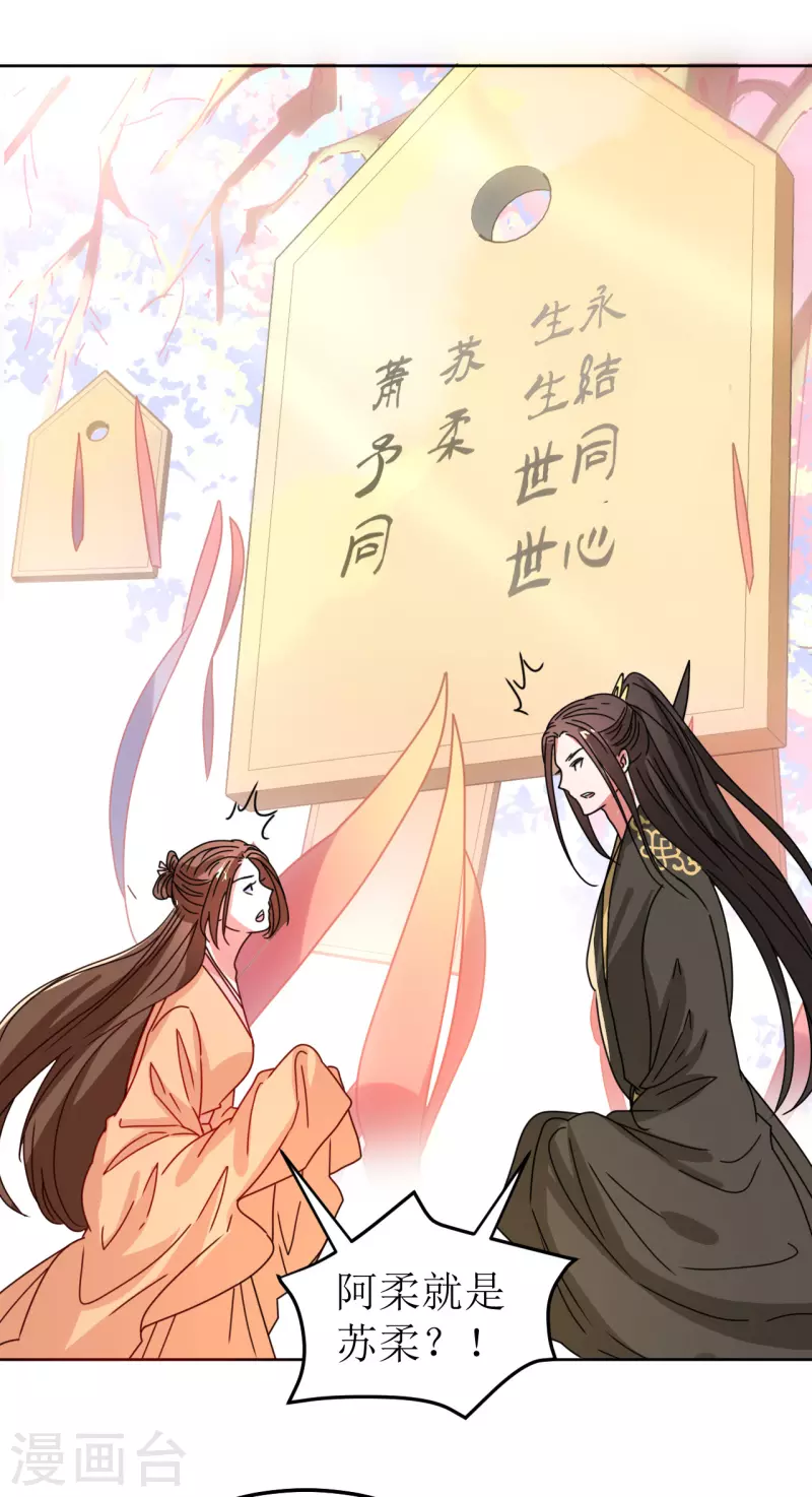 《我家侯爷不宠我》第111话 阿柔的身份 第12页