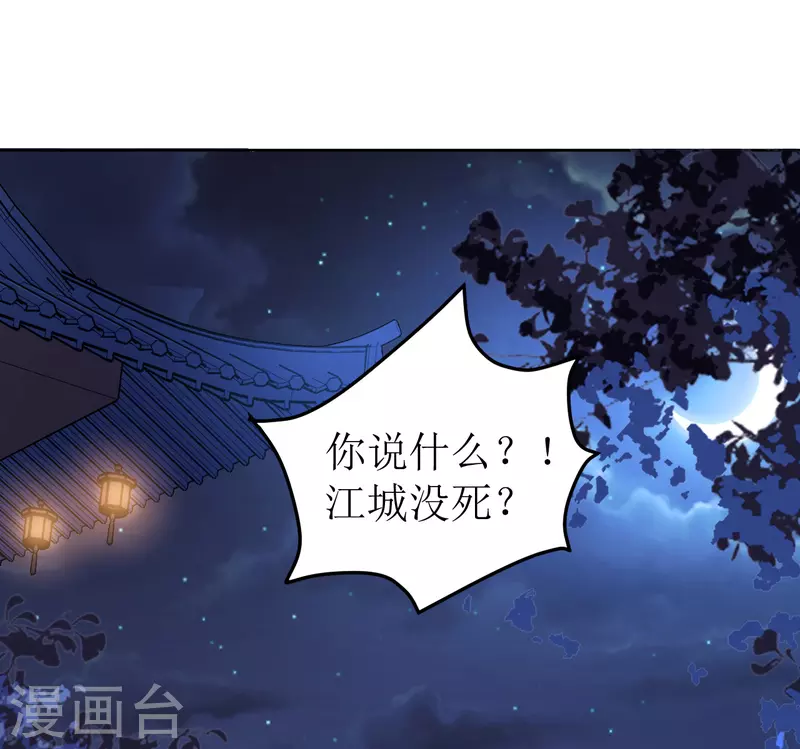 《我家侯爷不宠我》第122话 镇南王 第13页