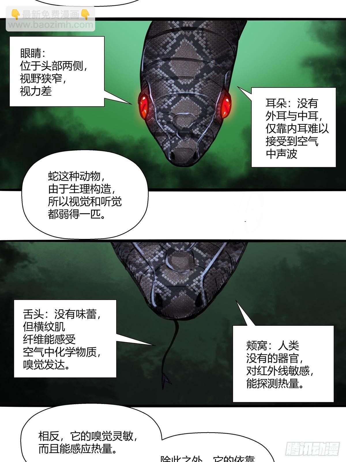 《红顶之下》15“偷技能”的技能 第20页