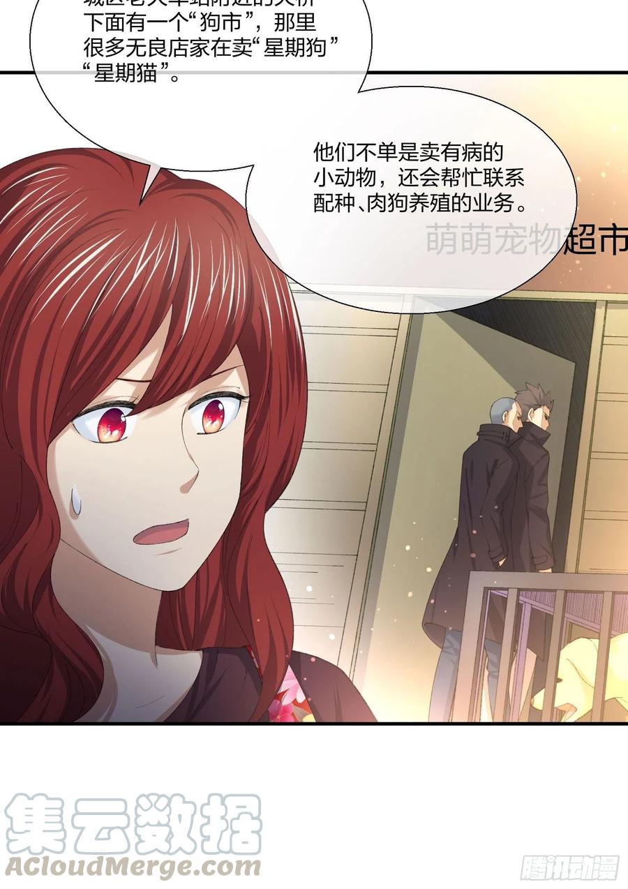 《异能税》偷狗贼 第33页